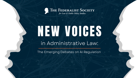 Click to play: New Voices in Administrative Law: The Emerging Debates on AI Regulation
