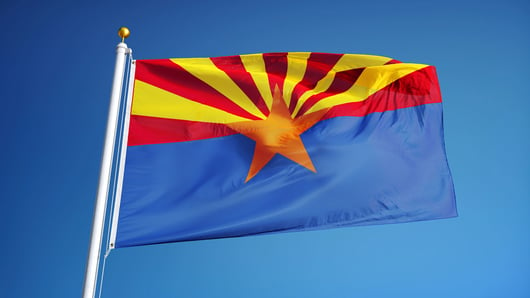 Brown v. City of Phoenix: Can Common Law Make Up for a Lack of Common Sense?