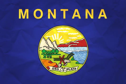 Montana Supreme Court Preliminarily Enjoins Three Laws Concerning Abortion