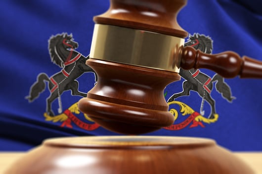 State Court Docket Watch: McLinko v. Pennsylvania