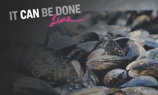 Deep Dive Episode 134 – It Can Be Done Live: The Future of Our Seas