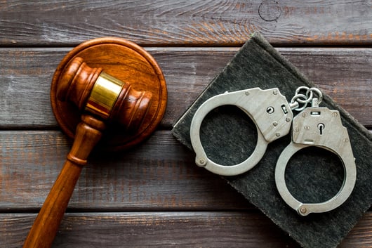 Criminal Law Update: A Survey of State Law Changes in 2020