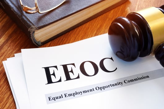 EEOC Enforcement Guidance on Harassment in the Workplace: Proposed Updates Raise Concerns