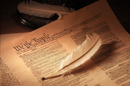 The Founders Interpret the Constitution: The Division of Federal and State Powers