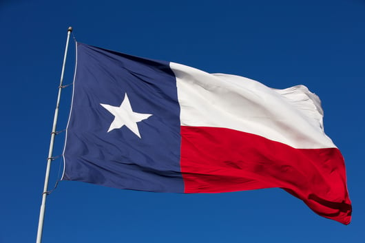 State Court Docket Watch: In Re State of Texas
